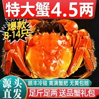 仲秋 [活蟹]特大10只大闸蟹鲜活现货全母螃蟹官方旗舰阳澄礼盒湖鲜河蟹