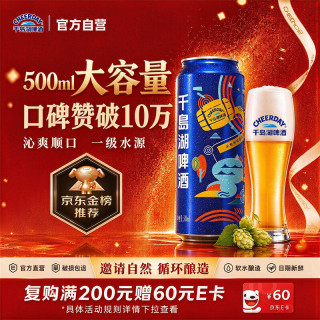 千岛湖啤酒 乐享醉美时光 啤酒 500ml*24听