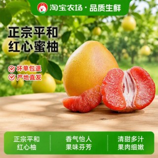 红心柚子 老树福建平和蜜柚 红肉应季水果农场新鲜现摘 皮薄直发 1粒装(单果1.5-1.8斤)