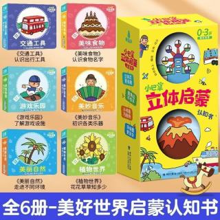青葫芦小巴掌立体启蒙认知书 幼儿早教0-1-2-3岁益智绘本儿童机关翻翻触摸书宝宝撕不烂玩具书 小巴掌3d立体书启蒙认知思维智力开发一到二三岁适合看的书籍