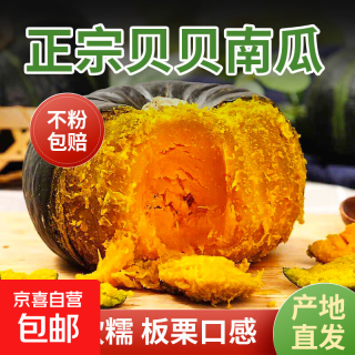 京喜 贝贝南瓜正宗板栗味小南瓜新鲜宝宝辅食粉糯营养丰富优质老南瓜 贝贝南瓜净重 5斤
