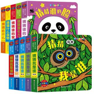 宝贝认知洞洞书第一辑（全10册）猜猜我是谁系列婴幼儿童早教0-3-6岁宝宝撕不烂 儿童认知启蒙卡片立体纸板书