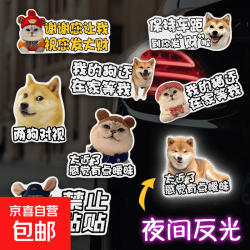 宠物搞笑车贴磁吸定制太近了感觉有点暧昧两狗对视汽车尾车身拉花 强反光-狗-感觉有点暧昧 磁吸款