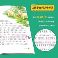 [班主任推荐] 套装10册 国际大奖小说（注音版） 小学生一年级课外书必读二三年级儿童文学系列课外阅读书籍世界经典儿童文学名著阅读 小学生国际大奖获奖小说
