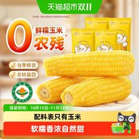 88VIP：轻语拾光 新鲜有机糯玉米非东北粘苞米低脂主食早餐代餐真空