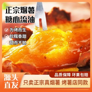 鲁禧 山东烟薯25号 烤薯专用 沙地烟薯 糖心流油香甜软糯 新鲜农家地瓜 精选中果净重4.5斤（单果3两+）