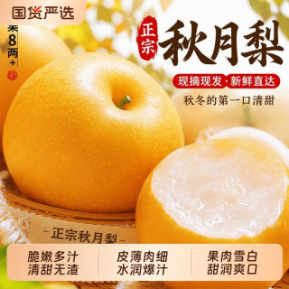 丰沛鲜生 正宗丰水梨秋月梨现摘现发水果新鲜当季冰糖雪梨子大果整箱包邮