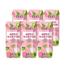 菲里维尔 油柑芭乐复合果汁饮料200ml*6瓶0脂