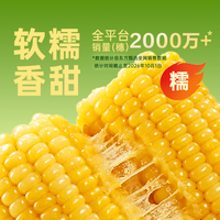 东方甄选 黄糯玉米真空包装袋装东北粘玉米棒早餐速食非即食食品