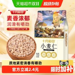 十月稻田 小麦仁五谷杂粮粗粮新鲜小麦仁米真空包装