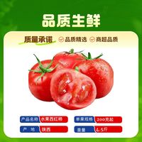 百亿补贴：好鲜市集 陕西泾阳水果西红柿当季新鲜蔬菜番茄彩箱净重4.5斤