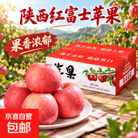 陕西 红富士苹果黄土高原种植脆甜多汁当季新鲜整箱发货好吃果包邮 带箱4斤净重3.5斤60-70mm