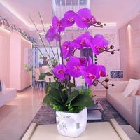 谷朵儿 PU手感仿真花蝴蝶兰套装客厅假花家居饰品装饰花餐桌摆放花艺过胶 紫色