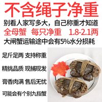 大闸蟹鲜活螃蟹现货特大溱湖簖蟹足斤足两中秋送礼盒装