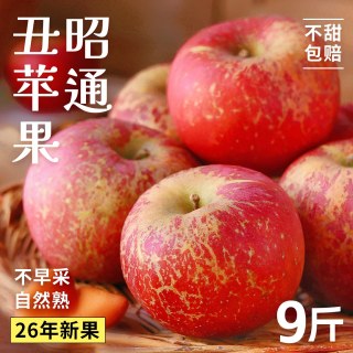 福瑞达 云南昭通丑苹果正宗冰糖心红富士新鲜水果应季当季整箱斤大绍通 3斤