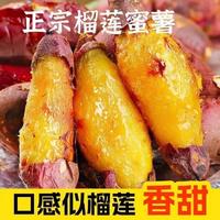 喜来薯农 正宗榴莲蜜薯流油地瓜黄金蜜薯红薯新鲜山芋烤番薯
