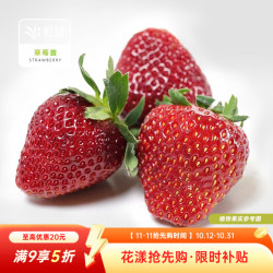 虹越 草莓苗盆栽苗秧苗90# 日本黑珍珠（真红美玲） 90#