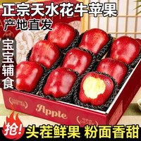 春福乐 甘肃天水花牛苹果 净重4.5斤