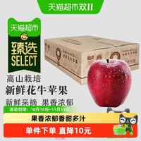 88VIP：礼小甜 猫超臻选甘肃花牛苹果新鲜水果红蛇果粉面香甜多汁