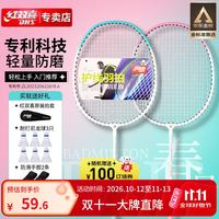 红双喜 1012 羽毛球拍套装 紫色/绿色 2支双拍