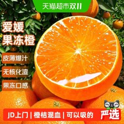 京运达 四川爱媛38号果冻橙应当季新鲜水果手剥橙子甜柑橘整箱特眉山大果