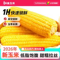 农垦雁窝岛 雁窝岛东北正宗黄糯甜玉米大棒玉米真空装粘玉米粗粮代餐低脂10根