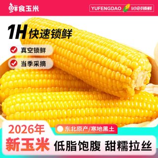 农垦雁窝岛 雁窝岛东北正宗黄糯甜玉米大棒玉米真空装粘玉米粗粮代餐低脂10根