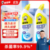 老管家 洁厕灵液马桶清洁除菌卫生间强力除垢除臭去异味家用清香型 除垢清香型500ml*2瓶
