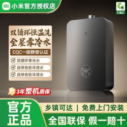 小米 米家净垢双循环燃气热水器16L P10家用增压恒温静音零冷水