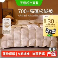 水星家纺 羽绒被 90%白鸭绒冬被抗菌升级加厚被子 150cm×210cm