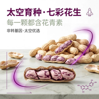 七彩农果云 云南太空七彩花生500g 带壳晒干生花生