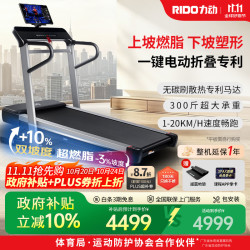 RiDO 力动（RIDO）T2跑步机 家庭用高端智能爬坡减震电动折叠室内走步机健身房器材 电动正负坡度