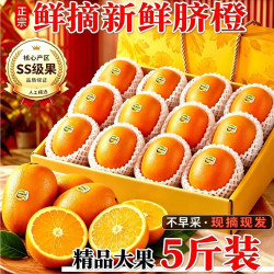鲜级佳 脐橙新鲜橙子水果应当季孕妇水果整箱批发年货节送礼 5斤特级大橙 单果80mm起 净重4.5斤