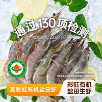 彩虹星球合作社 彩虹星球有机丨生冻盐田虾2.4kg 约25条/斤肉质紧实嫩Q弹饱满冻虾