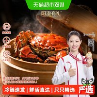 88VIP：阳澄有礼 精品大闸蟹鲜活礼盒去绳净重公2.8-3.1两.母1.8-2.1两4对8只