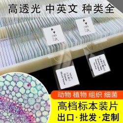 睿鸿 标本-25 生物显微镜标本观察切片套装（定制-联系后再拍）