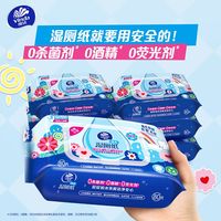 百亿补贴：维达 湿厕纸纯水厕所湿巾80片*10包