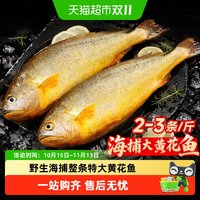 88VIP:天猫超市 大黄花鱼新鲜冷冻野生深海大黄鱼整条特大海鱼生鲜水产鲜活