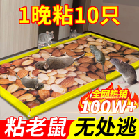 拥彩 粘鼠板强力沾鼠贴加厚玉米花生诱饵捕鼠神器家用一窝端防潮5片装