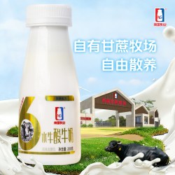 南国乳业 低温水牛酸奶3.8g鲜牛奶200ml 儿童学生 早餐奶