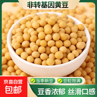 京喜 黄豆 非转基因大豆 打豆浆发豆芽五谷杂粮熬粥炖肉煲汤 黄豆250g