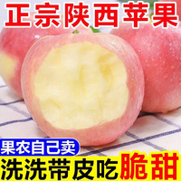 京农超 山东烟台红富士苹果 脆甜整箱 红富士75-80mm 净重4.6斤 产地直发