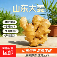 京喜 出口品质山东大姜黄姜超市生鲜蔬菜即食无药残蔬菜 山东大姜净重250克