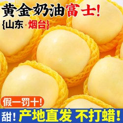 顾一 山东烟台黄金奶油富士苹果新鲜水果当季整箱现摘冰糖心包邮旗舰店
