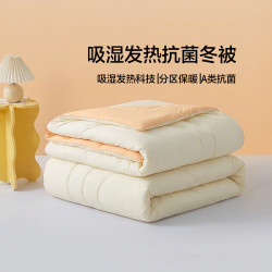 水星家纺 A类吸湿发热暖暖糯糯抗菌冬被  200cm×230cm