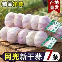 金乡净蒜55-60mm新干蒜大蒜头紫白皮大蒜 网兜装