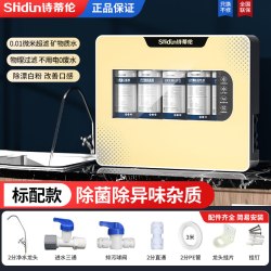 诗蒂伦 净水器水过滤器家用自来水净化直饮五级超滤厨房壁挂净水机