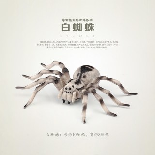 童德 昆虫动物玩具模型 白蜘蛛