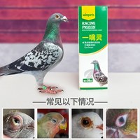 鹦鹉眼病单眼伤风一滴灵眼流泪肿胀闭眼玄风虎皮信赛鸽眼药水用品