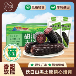果脆奇 东北直发甜糯玉米棒黑甜糯玉米非转基因独立真空包装